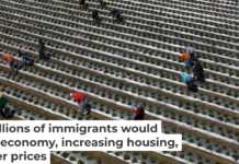 Immigrant farmworkers pick strawberries in California in April 2024. Visions of America/Joe Sohm/Universal Images Group via Getty Images